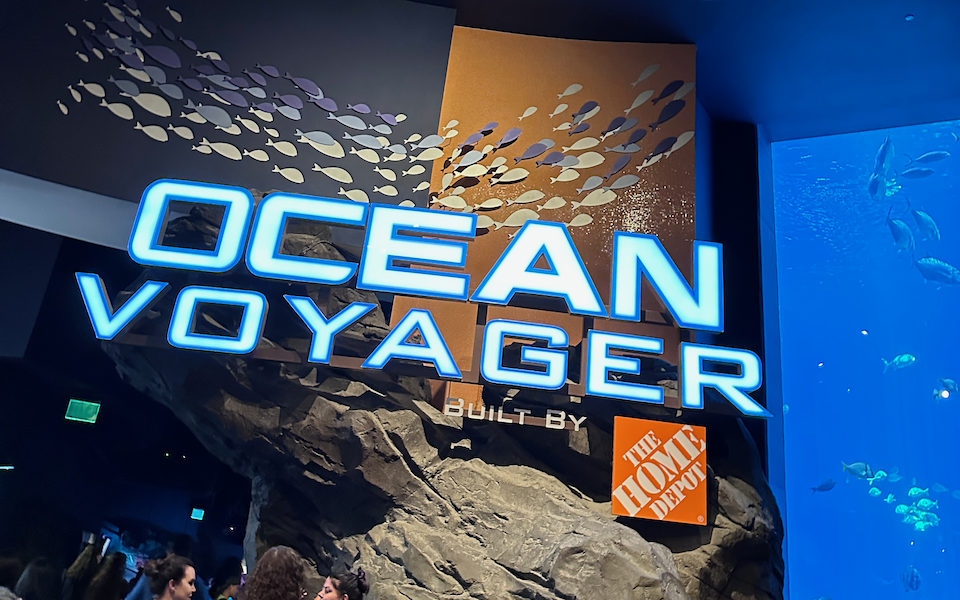 Ocean Voyager Entrance